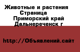  Животные и растения - Страница 12 . Приморский край,Дальнереченск г.